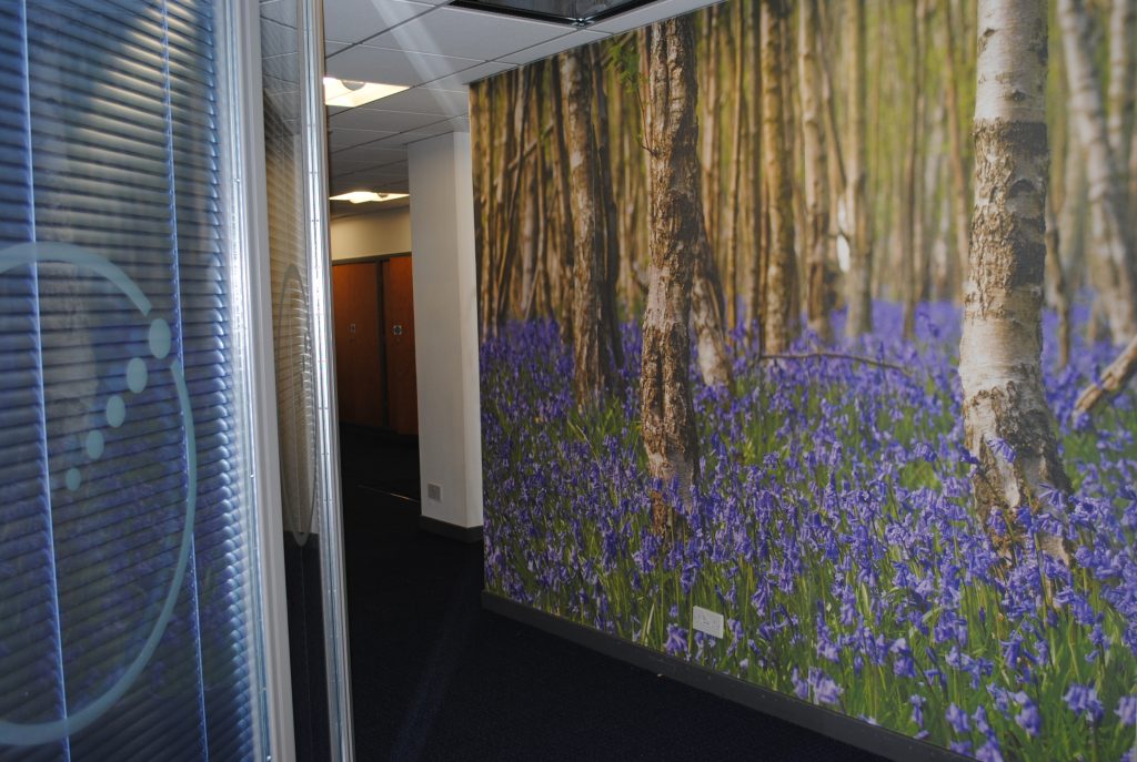 Wall Graphic Woodland
