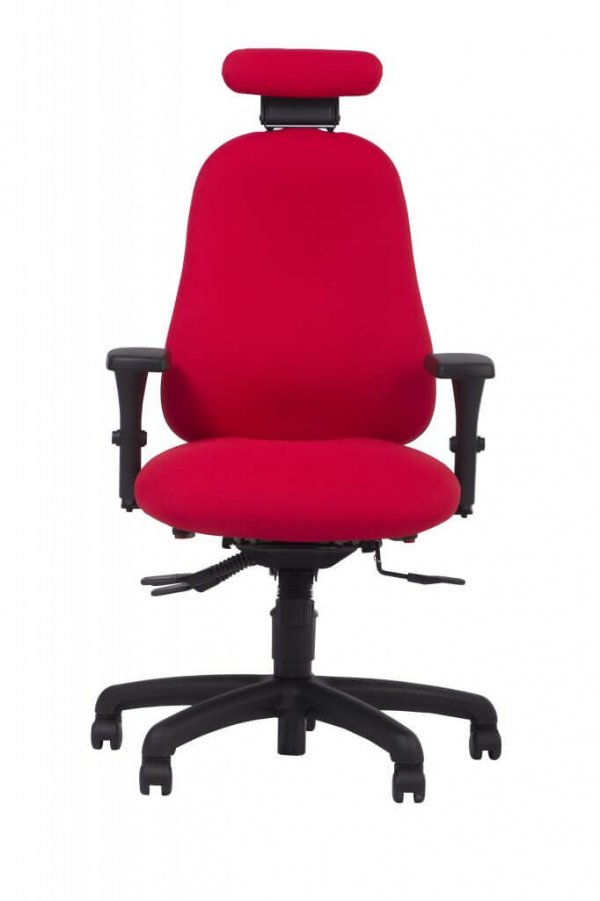 Adapt500 Ergochair with Neck Rest