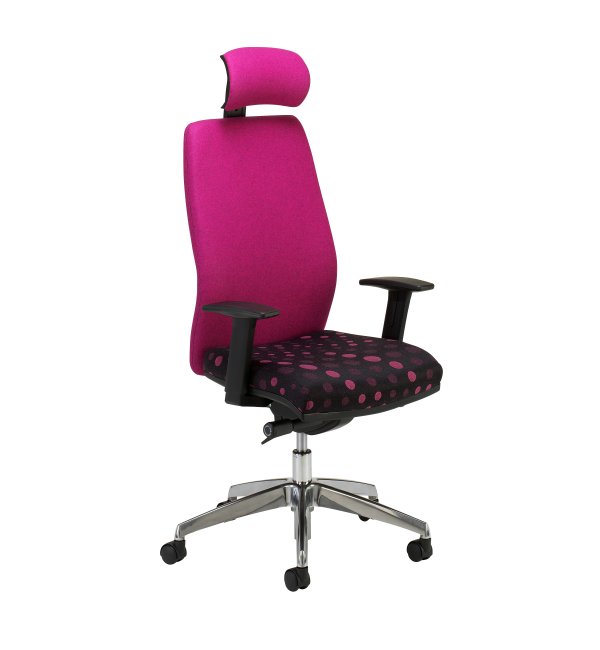 Exquisit Task Chair with Arms and Headrest