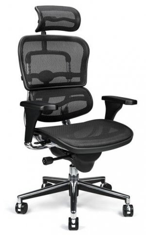 Ergohuman Mesh Task Chair