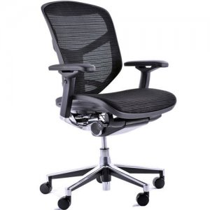 Enjoy-Task-Chair-Black-Mesh-with-Lumbar-Support