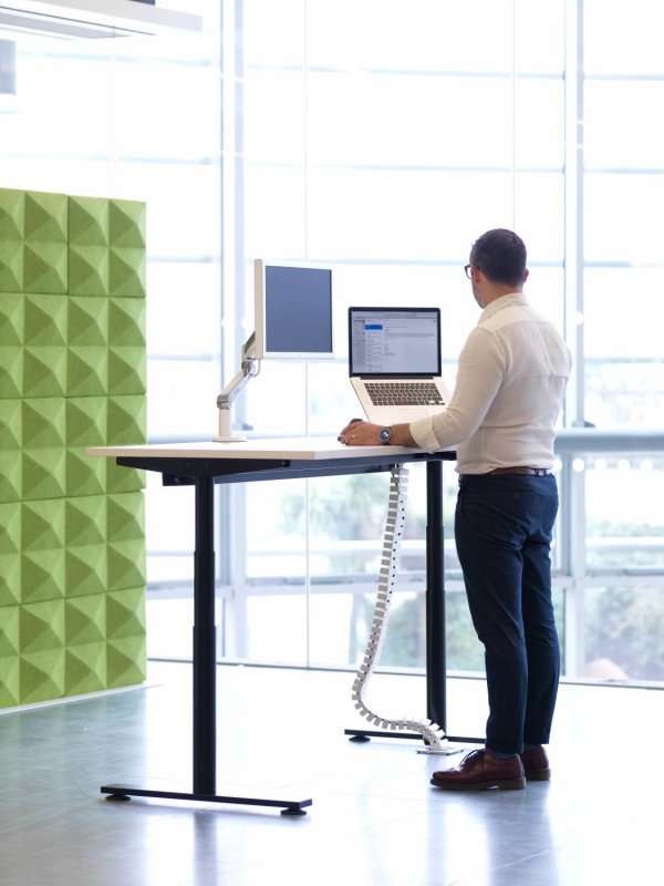Fabricks-Acoustic-Wall-with-Sit-Stand-Desk