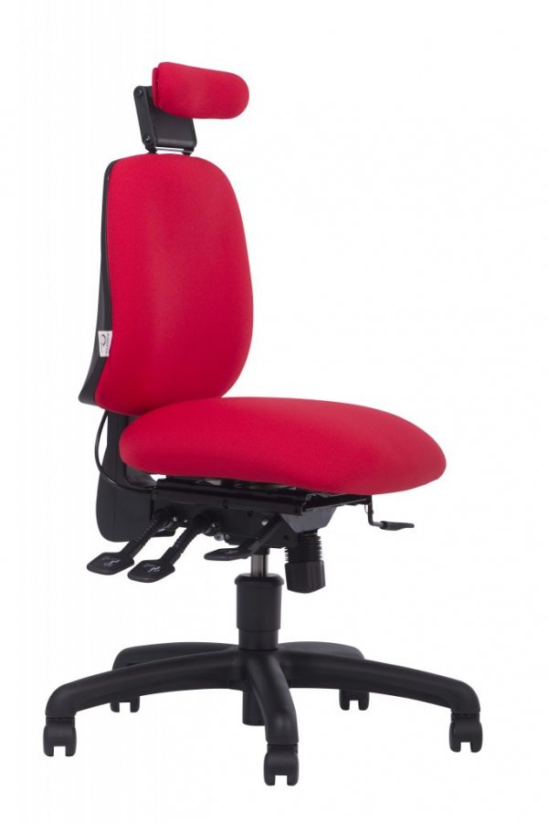 Adapt500 Ergochair with Neck Support