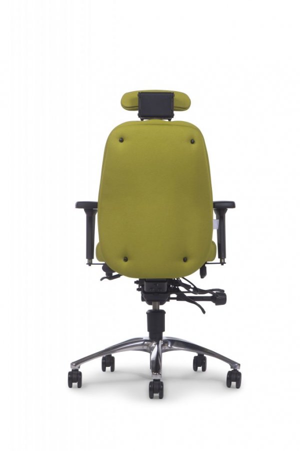 Ergochair Adapt600 Back